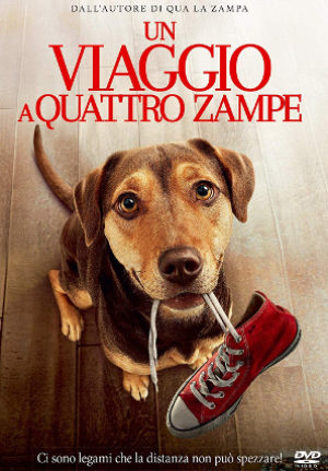 Un Viaggio a 4 Zampe