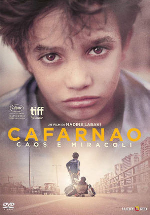 Cafarnao