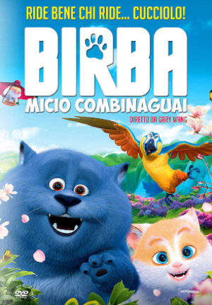 Birba – Micio Combinaguai
