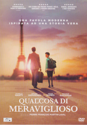 Qualcosa Di Meraviglioso