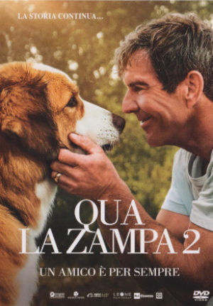 Qua La Zampa 2 – Un Amico E’ Per Sempre