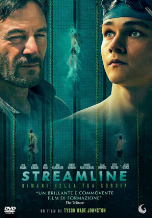 Streamline